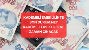 Kademeli emeklilikte son durum: 2000-2008 sigortalıları için yeni düzenleme beklentisi